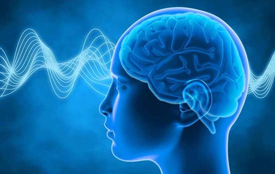 Nous possédons tous 6 capacités mentales : la perception, la volonté, la raison, l’imagination, la mémoire et l‘intuition.