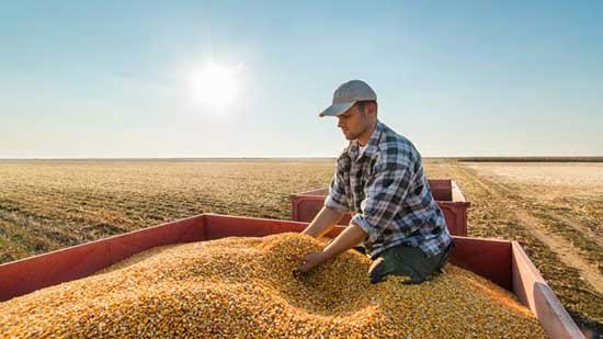 La nature nous enseigne la loi des retours croissant dépendamment des efforts fournis.